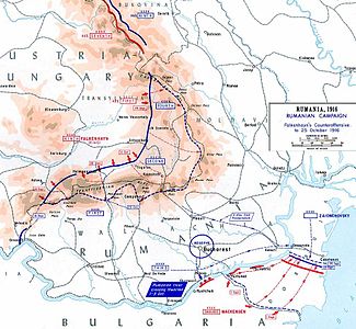 מתקפת הנגד של מעצמות המרכז, ספטמבר–אוקטובר 1916