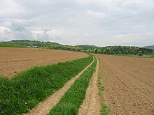 Photograph of a country track or fieldway