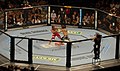 Image 28UFC 74 ; Clay Guida vs. Marcus Aurelio (from Mixed martial arts)