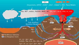 Oceanski grbet in globokomorska kemija odplak