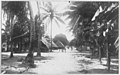 Image 23Main Street in Funafuti, (circa 1905). (from History of Tuvalu)