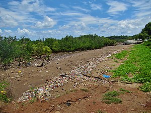 Exemple de plage polluée par des ordures, à Majicavo. L'éducation environnementale est un défi à Mayotte.