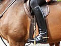 Stivali da equitazione