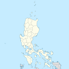 IRRI is located in Luzon