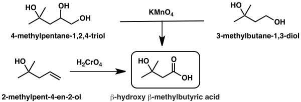 Gambar jalur sintesis asam β-hidroksi β-metilbutirat pertama