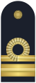 Il distintivo per controspallina delle uniformi ordinaria e di servizio estiva