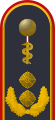 Dienstgradabzeichen eines Generalstabsarztes (Approbation für Humanmedizin) auf der Schulterklappe der Jacke des Dienstanzuges für Luftwaffenuniformträger