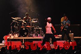 P-Square on stage performing in Canada, 2010