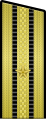 капитан 3-го ранга Kapitan III rang Russia (dal 2010)