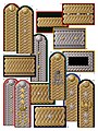 Civil braided shoulder boards of the Russian Empire (1894—1910)