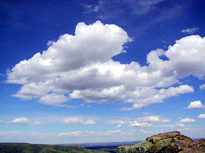Cumulus clouds look white because the water droplets reflect and scatter the sunlight without absorbing other colors.