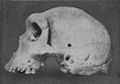 Image 36Skull of Broken Hill Man discovered in present-day Kabwe. (from History of Zambia)