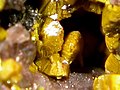Karnotit (žuti) je mineral koji sadrži radioaktivni uran.