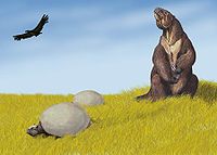 Pleistocene of South America, including Megatherium and two Glyptodon