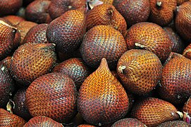 Tilings: overlapping scales of snakefruit or salak, Salacca zalacca