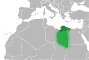 Cirenaica en Libia