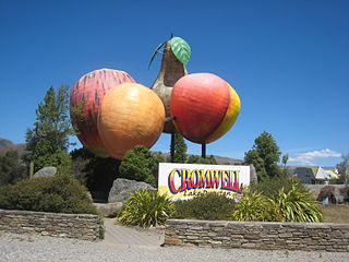 Big fruit outside Cromwell, Central Otago, New Zealand