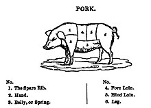 Diagram of a pig, showing the location of the cuts of pork