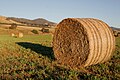 Round Hay Bale at Dawn