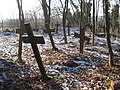 The historic cemetery crosses at Przyborze