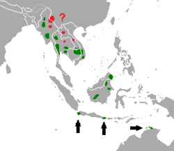 Distribución geográfica de B. javanicus en 2010 verde: presente rojo: posible rango de presencia