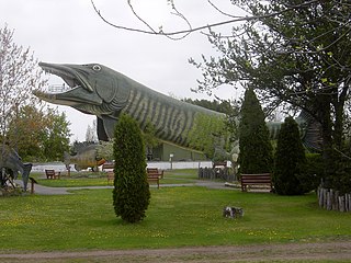 World's Largest Muskellunge in Hayward, Wisconsin, US at the National Freshwater Fishing Hall of Fame.