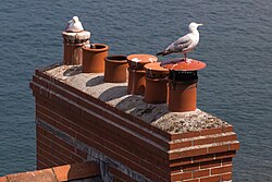 Rows of chimney pots in an English town in 2013