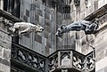 Gárgulas na Catedral de Colônia