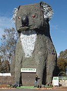 Giant Koala, Dadswells Bridge, Australia.