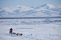 Sled dogs pulling a musher across snow with snow-covered mountains in background