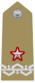 distintivo di grado di colonnello con funzioni del grado superiore