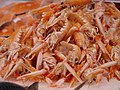 A heap of small pink lobsters on their sides, with their claws extended forwards towards the camera. (from Crustacean)