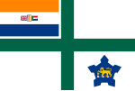 Vlootvaandel van Suid-Afrika, 1981-1994