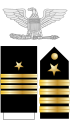 JAV jūrų kapitono kokarda, antpetis ir rankovės antsiuvas