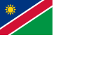 Vlootgeus van Namibië