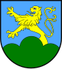 Coat of arms of Lewin Brzeski