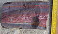 Image 79A banded iron formation from the 3.15 Ga Moodies Group, Barberton Greenstone Belt, South Africa. Red layers represent the times when oxygen was available; gray layers were formed in anoxic circumstances. (from History of Earth)