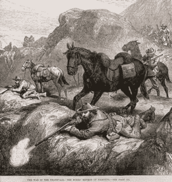 búrok harc közben (1881)