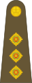 Exército Britânico (Captain)