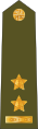 กองทัพเช็กเกีย (Podplukovník)