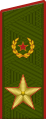 Insigne de général de l'Armée (uniforme de terrain de l'Armée de terre).