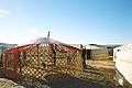 Iurta mongolă: se montează o pânză subţire pentru acoperiş