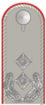 Exército Alemão (Oberstleutnant)