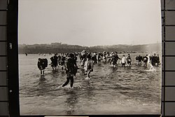 중공군의 남하를 피해 얼음같이 찬 대동강을 맨발로 건너는 피난민들. 이들은 고향인 평양을 떠나 자유를 찾아 남쪽으로 내려가고 있다. 1950년 12월 3일 D. Helms 중사 촬영.
