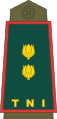 กองทัพบกอินโดนีเซีย (Letnan Kolonel)