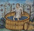 Image 29In ancient times, berries were crushed by foot in a barrel or pit (from Winemaking)