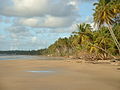 Mayaro Beach, Trinidad Tèmor