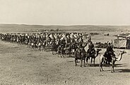 The camel corps at Beersheba during the Sinai and Palestine Campaign, February 1915.
