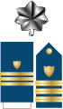Distintivo per paramano dell'uniforme ordinaria invernale, controspallina per uniforme estiva e fregio da colletto della US Coast Guard