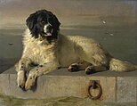 A Distinguished Member of the Humane Society, 1831, Tate Britain, Londen